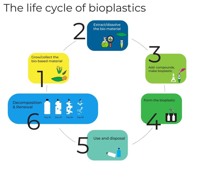The life cycle of bioplastics