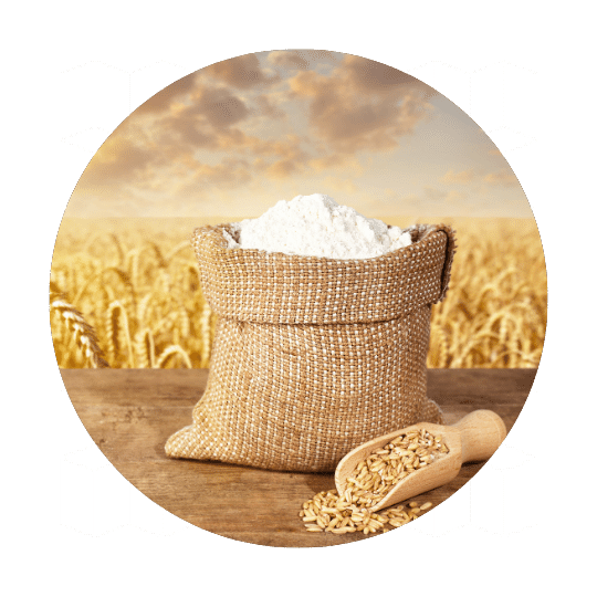 Wheat Flour for biscuit