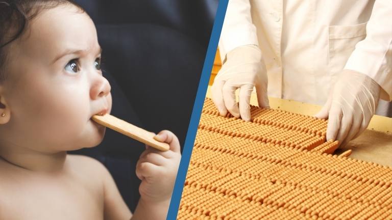 Biscuit manufacturing process - indpro 