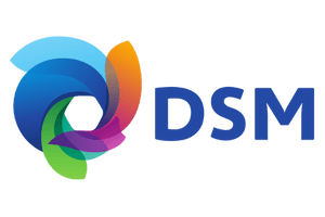 Indpro Engineering, Pune - DSM 